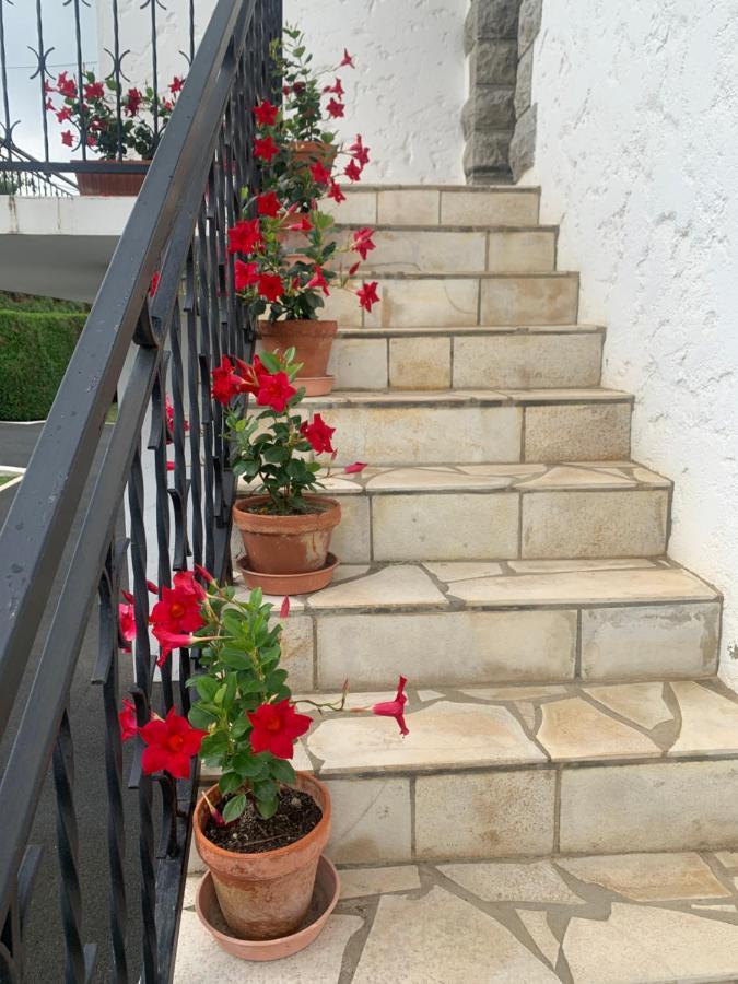 A Louer Appartement Dans Une Maison Arcangues Dış mekan fotoğraf
